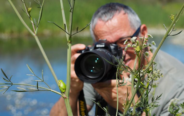 Fotógrafo José Luis Gómez de Francisco