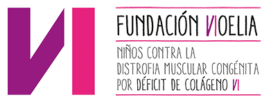 Logo de la Fundación Noelia