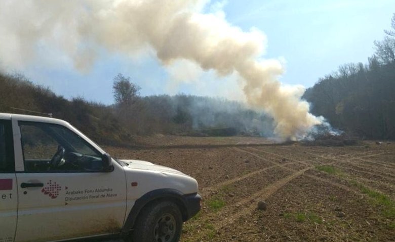 Lugar de la agresión al guarda forestal en Vitoria-Gasteiz. X: @AEAFMA