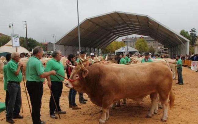 Imagen de archivo del aparcamiento de Santa Ana que cada año acoge la cita ganadera en Gernika. ARITZ ERDAIDE