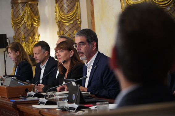 Eneko Goia en el pleno de despedida