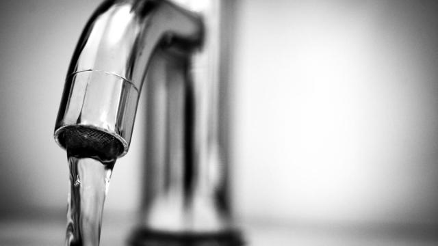 La legionella se contagia al respirar particular de agua con la bacteria. CEDIDA 
