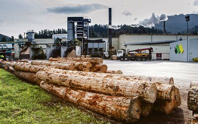  Maderas de Llodio ha planteado al Comité la intención de un despido colectivo