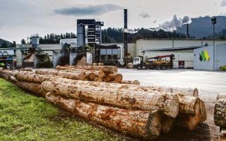  Maderas de Llodio ha planteado al Comité la intención de un despido colectivo