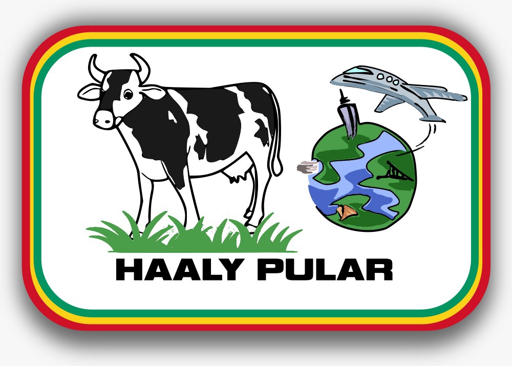 Imagen de la asociación Haaly Pular.