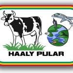 Imagen de la asociación Haaly Pular.