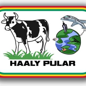 Imagen de la asociación Haaly Pular.
