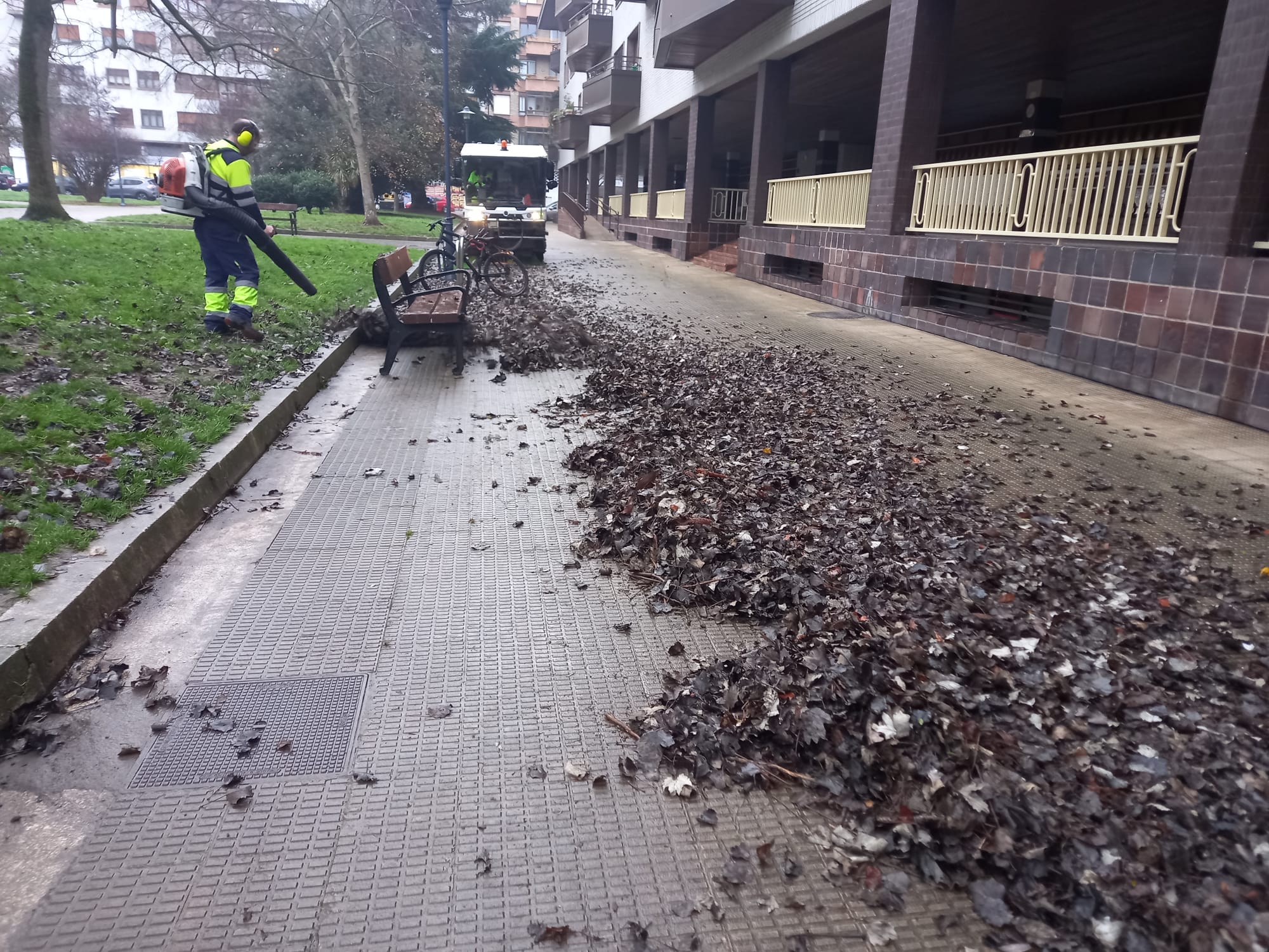 Operarios de limpieza recogen hojas caídas.