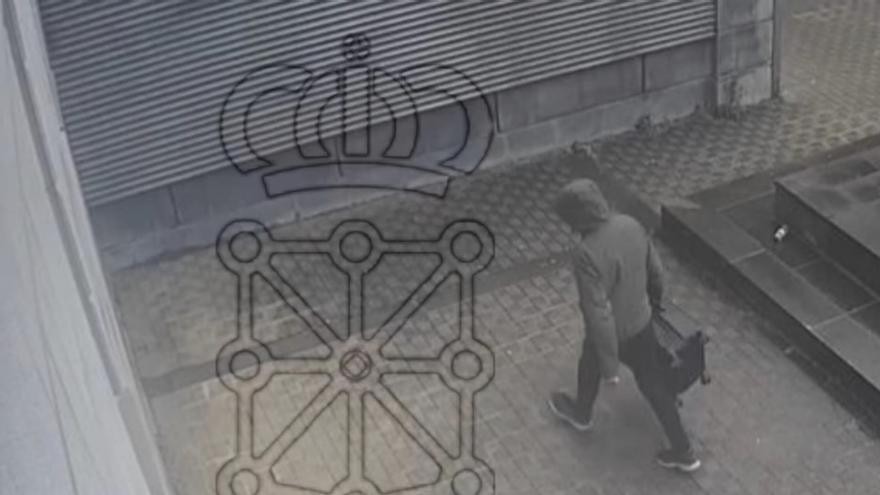 Imágenes del detenido por colocar una maleta sospechosa en el Palacio de Justicia de Navarra. Policía Foral.