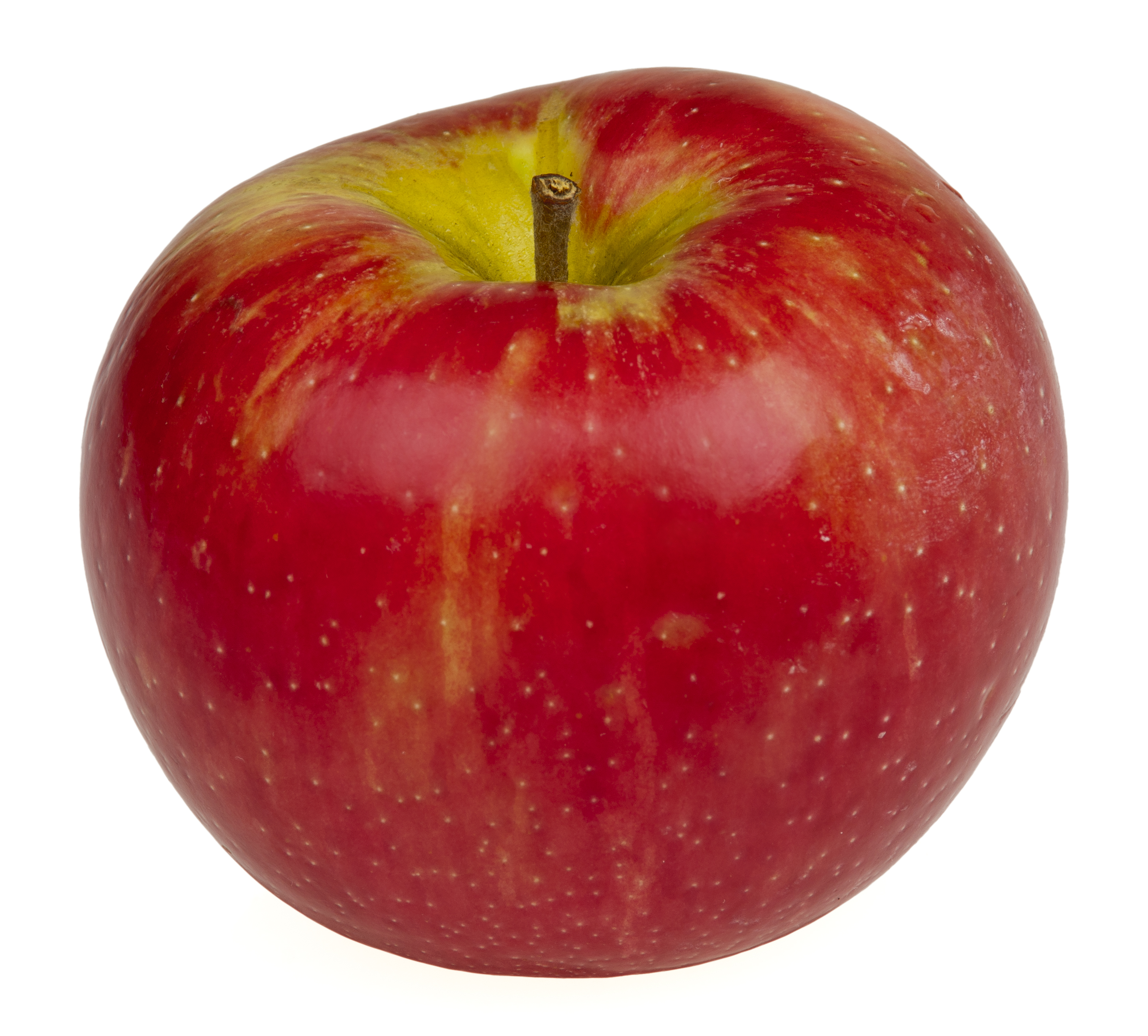 Manzana Honeycrisp Manzana Honeycrisp