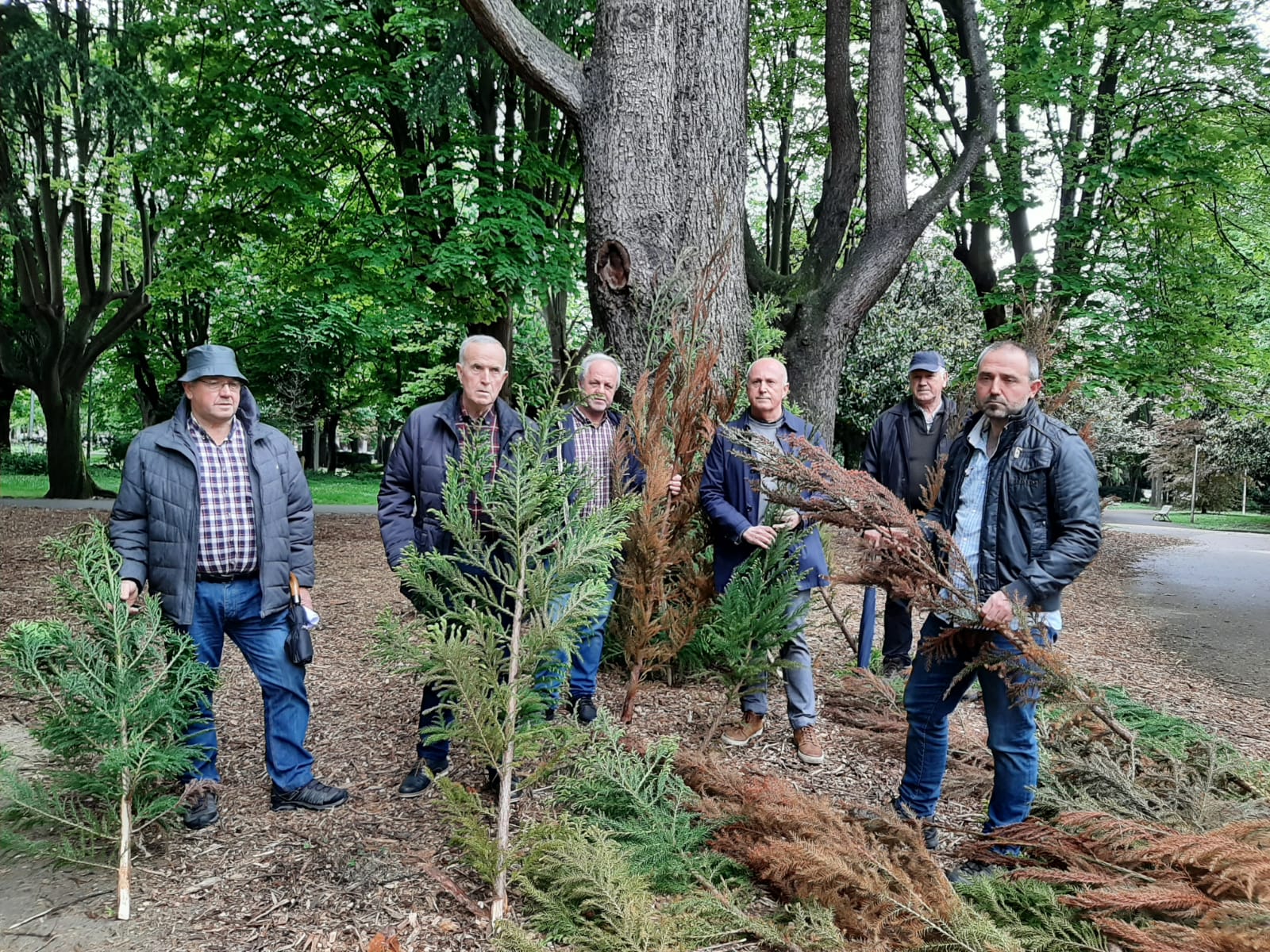Responsables de ENBA, ENHE y GEBE posan, esta mañana, con algunos de los árboles de 'cryptomeria japonica' talados