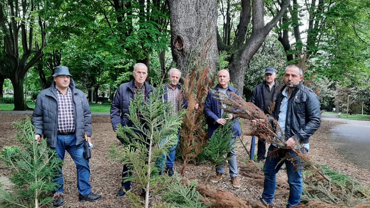 Responsables de ENBA, ENHE y GEBE posan, esta mañana, con algunos de los árboles de 'cryptomeria japonica' talados