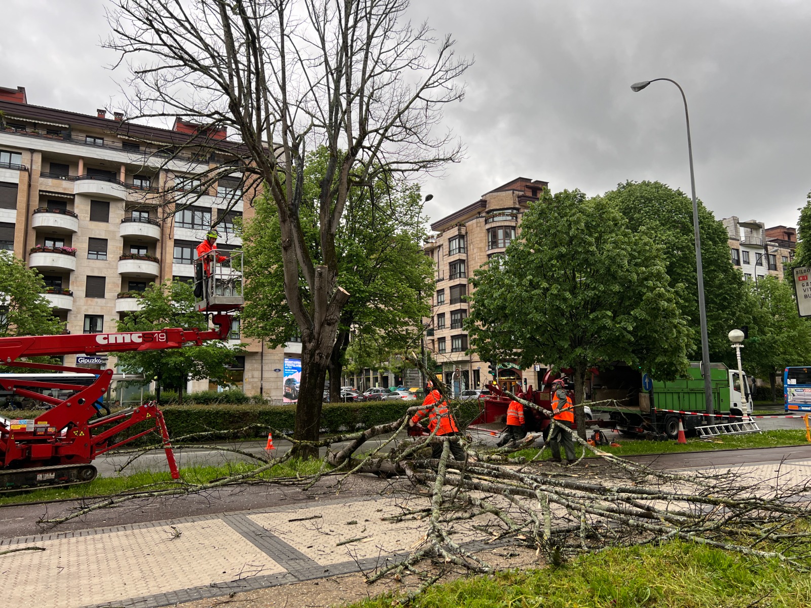 Momento de la retirada de uno de los tilos, ayer, en la Avenida de Tolosa, en Donostia