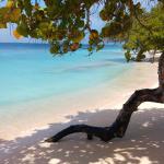 Cayo Sombrero, en el parque nacional Morrocoy