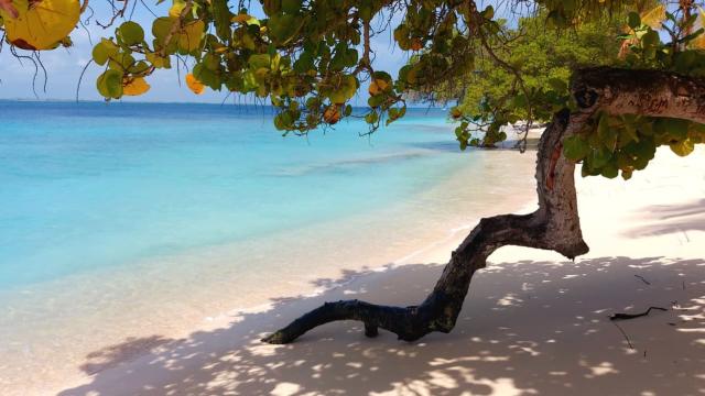 Cayo Sombrero, en el parque nacional Morrocoy