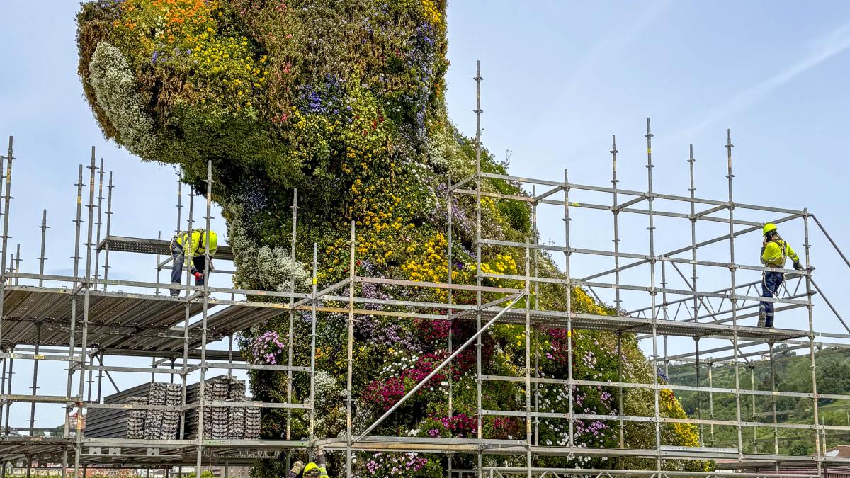 Imagen de archivo de Puppy en pleno cambio de su manto de flores