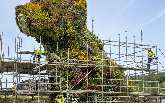 Imagen de archivo de Puppy en pleno cambio de su manto de flores
