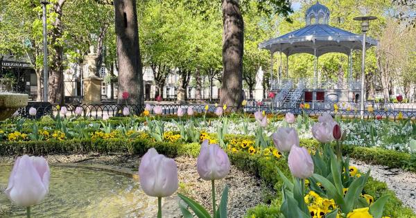 Casi 6.000 plantas florecen en Gasteiz con la llegada de la primavera. Foto: Ayuntamiento de Gasteiz