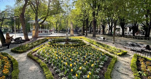 Casi 6.000 plantas florecen en Gasteiz con la llegada de la primavera. Foto: Ayuntamiento de Gasteiz
