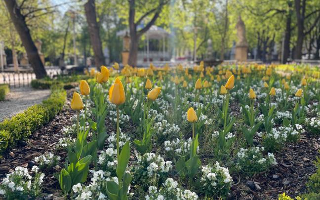 Casi 6.000 plantas florecen en Gasteiz con la llegada de la primavera. Foto: Ayuntamiento de Gasteiz