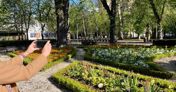 Casi 6.000 plantas florecen en Gasteiz con la llegada de la primavera. Foto: Ayuntamiento de Gasteiz