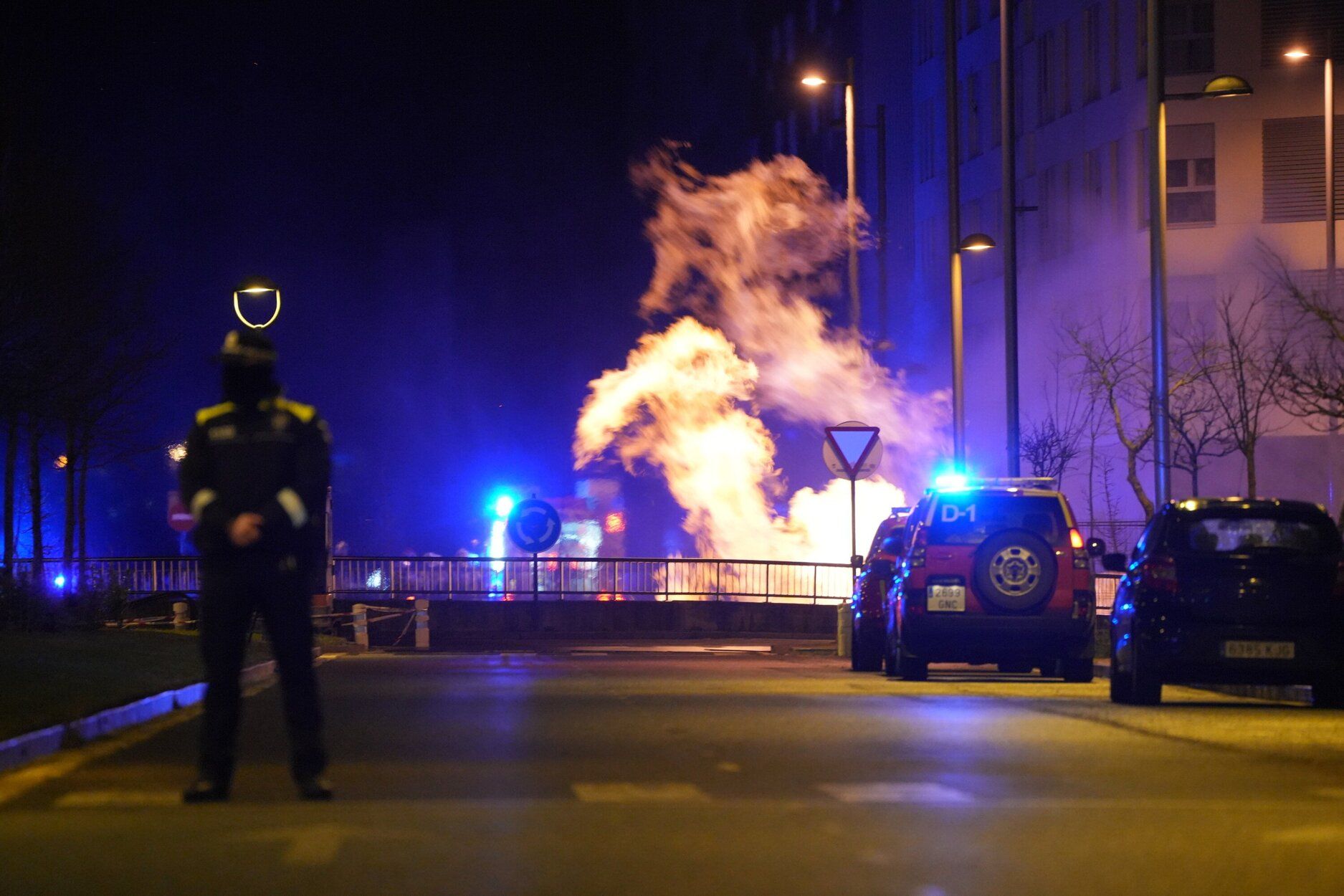 Imagen del espectacular incendio desatado el martes en Salburua. DNA