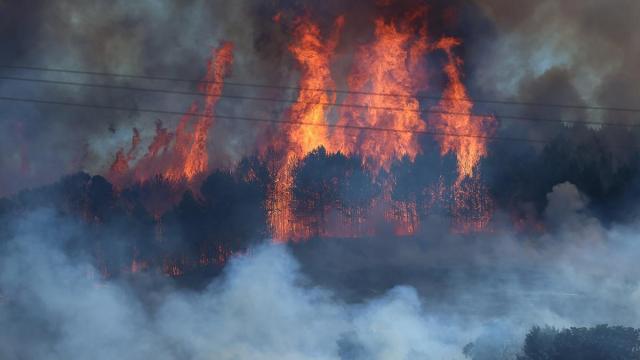 Fotos del incendio forestal de gran magnitud en Imárcoain. DNN