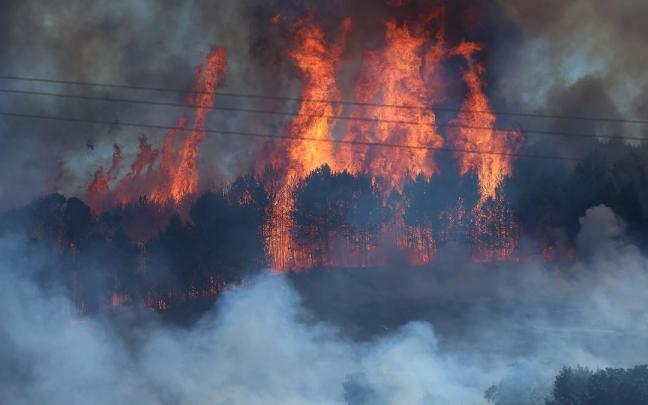 Fotos del incendio forestal de gran magnitud en Imárcoain. DNN