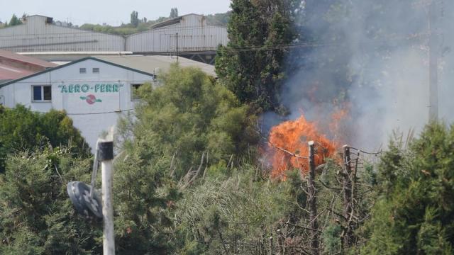 Incendio en unos matorrales de Erandio / Deia - Borja Guerrero 