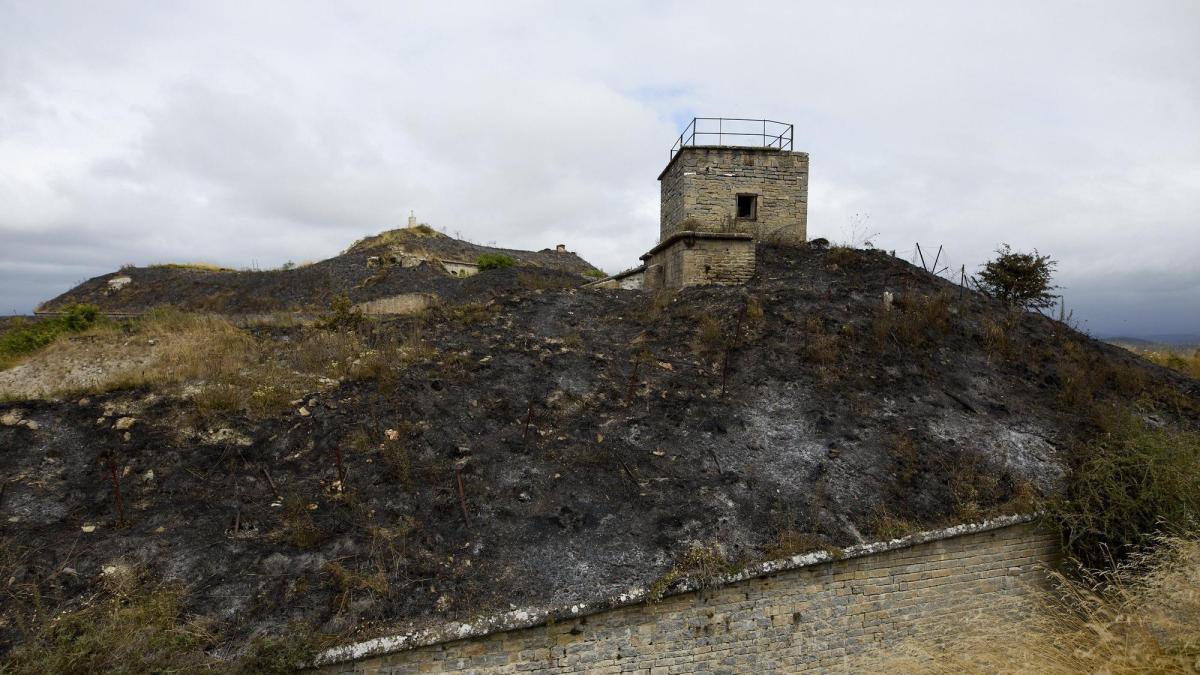 Vegetación afectada por las llamas en San Cristóbal. Unai Beroiz