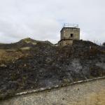 Vegetación afectada por las llamas en San Cristóbal. Unai Beroiz