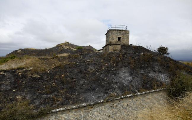 Vegetación afectada por las llamas en San Cristóbal. Unai Beroiz
