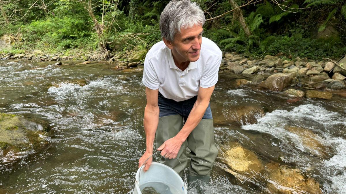 El diputado de Equilibrio Territorial Verde, Xabier Arruti, participa en la suelta de alevines de salmón en el Urumea y el Oria