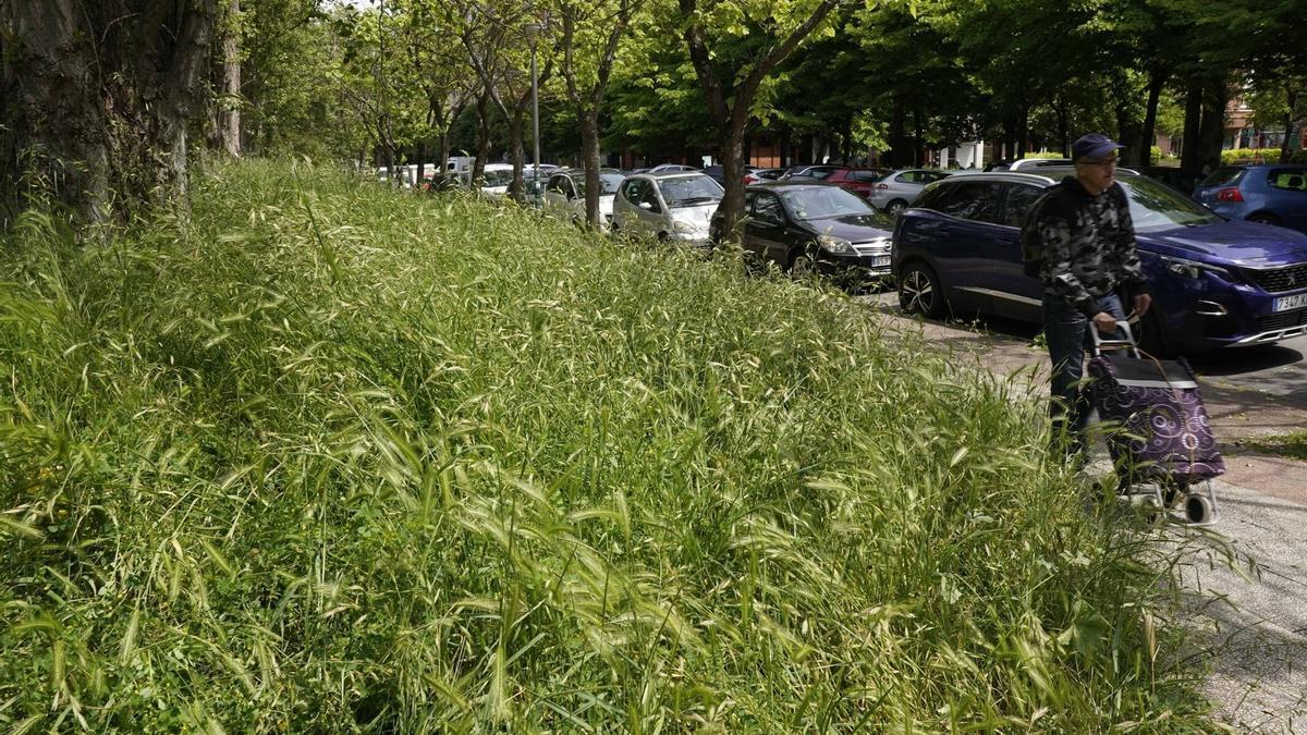 Estado actual de los jardines en la calle Abendaño de Vitoria Alex Larretxi