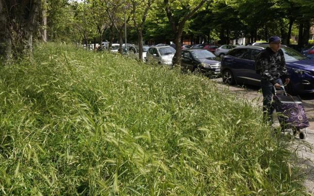 Estado actual de los jardines en la calle Abendaño de Vitoria Alex Larretxi Estado actual de los jardines en la calle Abendaño de Vitoria Alex Larretxi