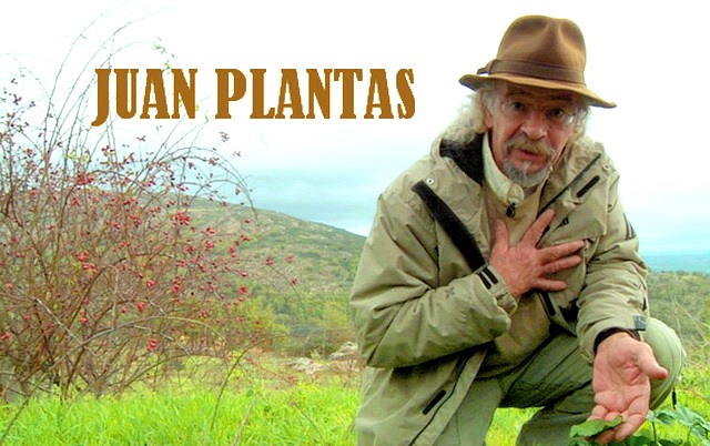 Juan Plantas