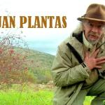 Juan Plantas