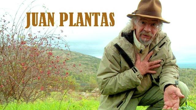 Juan Plantas