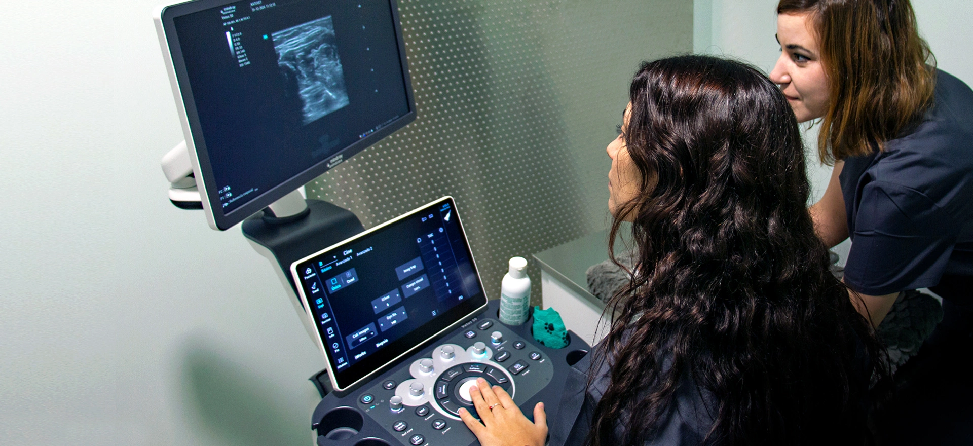 Katuvet Medicina Felina