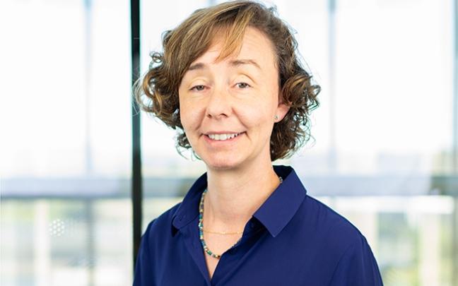 La investigadora senior en CIC energiGUNE Vitoria, la Dra. Elena Cándida Gonzalo