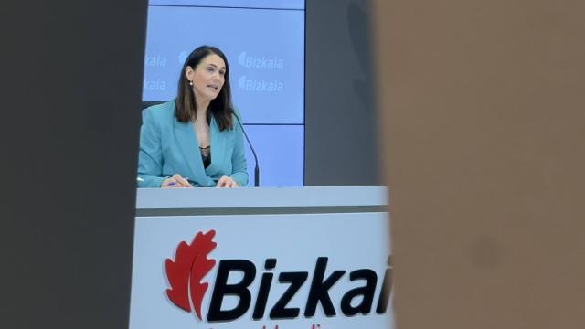 La subasta la ha anunciado hoy la portavoz foral de Bizkaia Leixuri Arrizabalaga