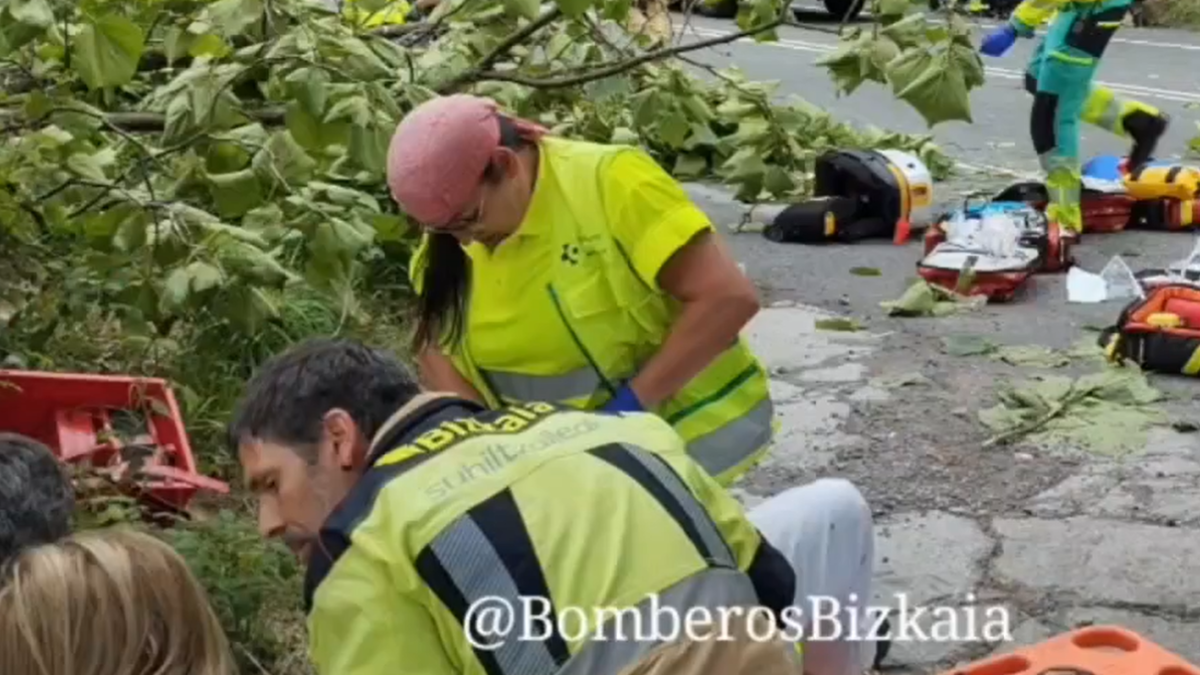 Accidente en la N-240 en Lemoa. BOMBEROS DE BIZKAIA X