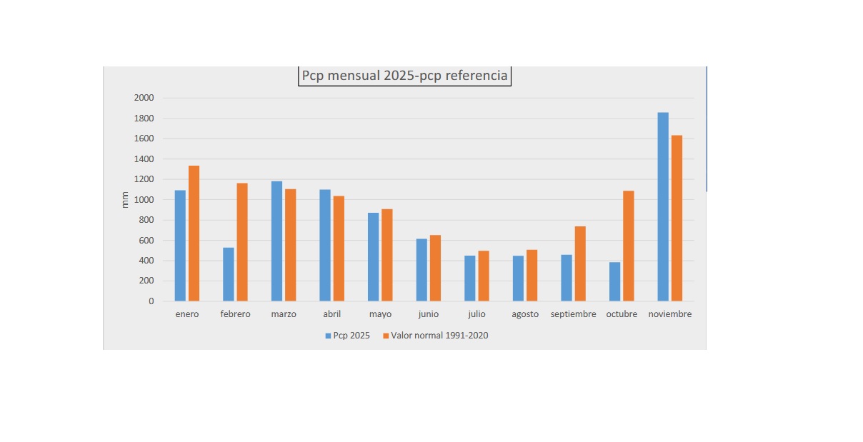 Cuadro de precipitaciones en Euskadi en 2025 elaborado por AEMET