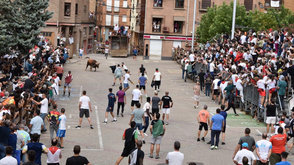Fotos del Toro con Soga de Lodosa María San Gil