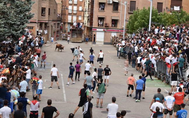 Fotos del Toro con Soga de Lodosa María San Gil