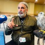 Manu Reyes, del servicio de control de fauna del aeropuerto de Bilbao, y Mertxe, uno de los halcones que vigilan las pistas