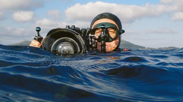 Manu San Félix, biólogo marino y explorador de National Geographic