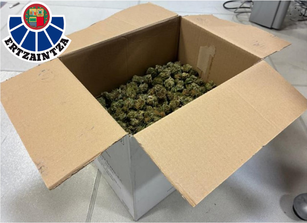 Marihuana incautada en Aretxabaleta. DEPARTAMENTO DE SEGURIDAD