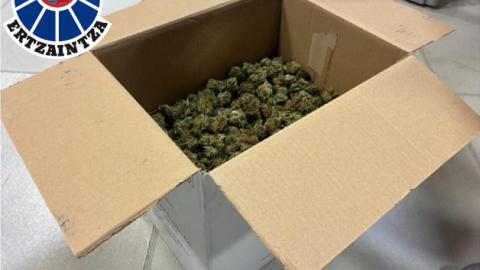 Marihuana incautada en Aretxabaleta. DEPARTAMENTO DE SEGURIDAD