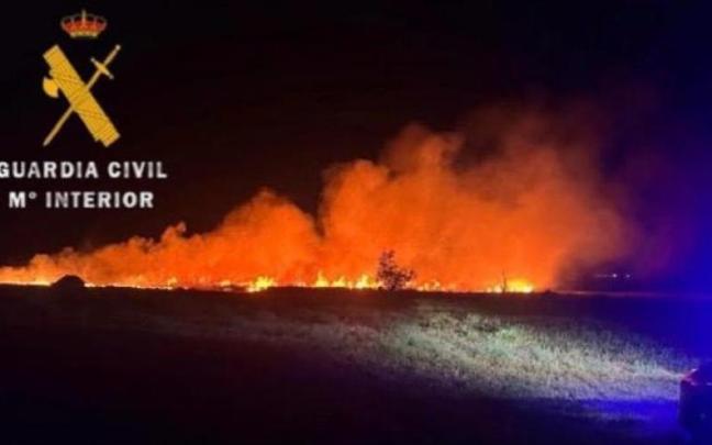 Vista del incendio de vegetación en Mendavia. Cedida